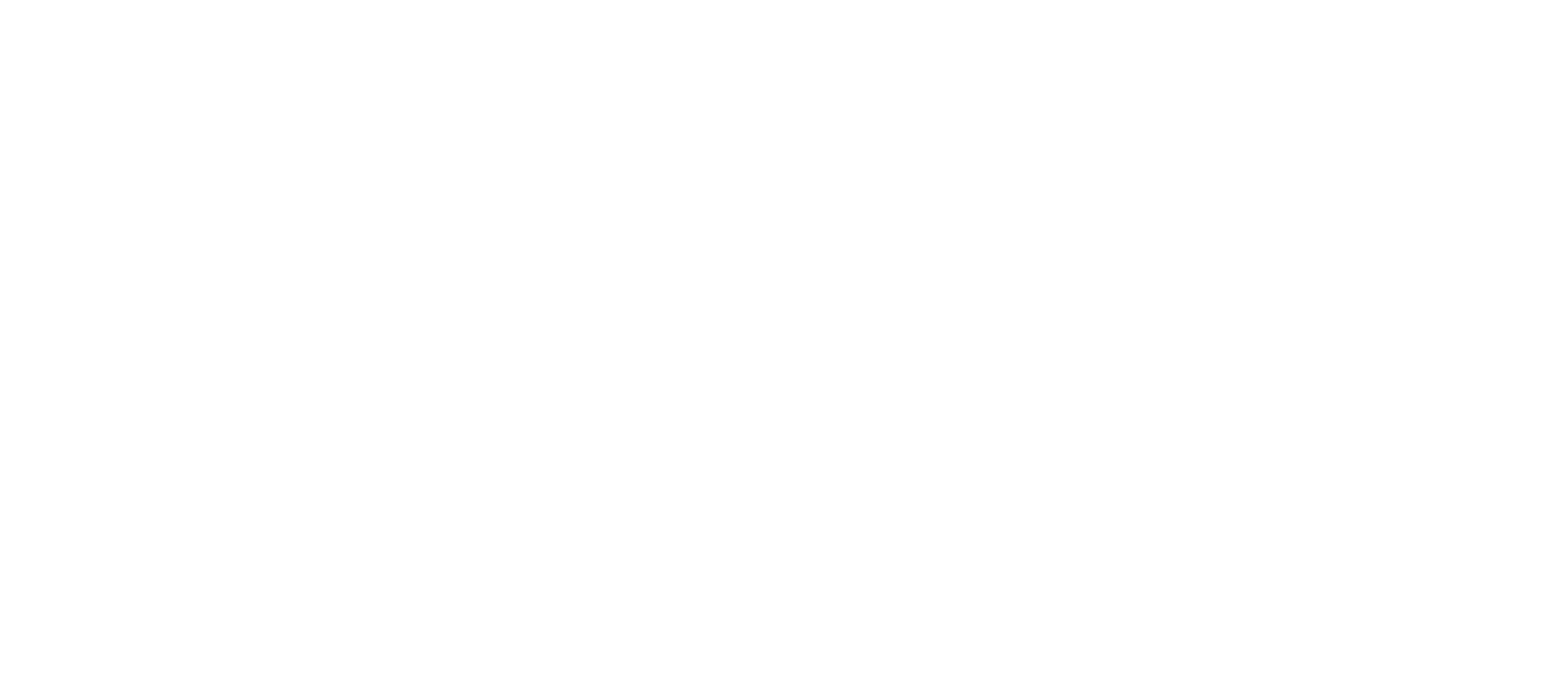 Saas Tech Nepal | Fast Web Hosting Company